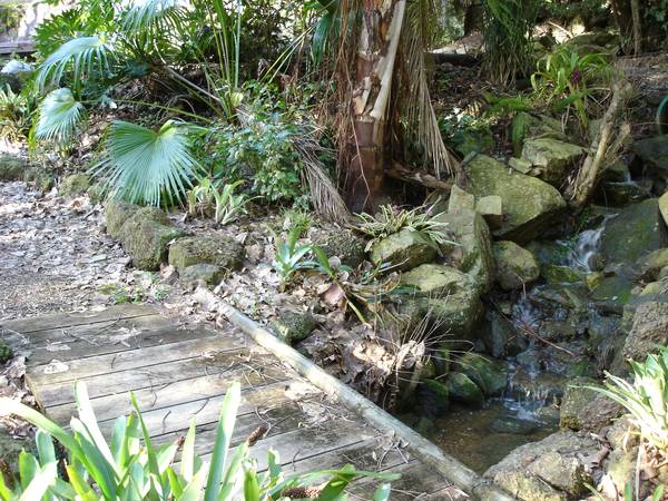 Magical Private Paradise -5 Acres in the City Picture 2