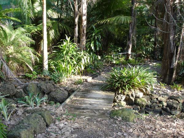 Magical Private Paradise -5 Acres in the City Picture 3