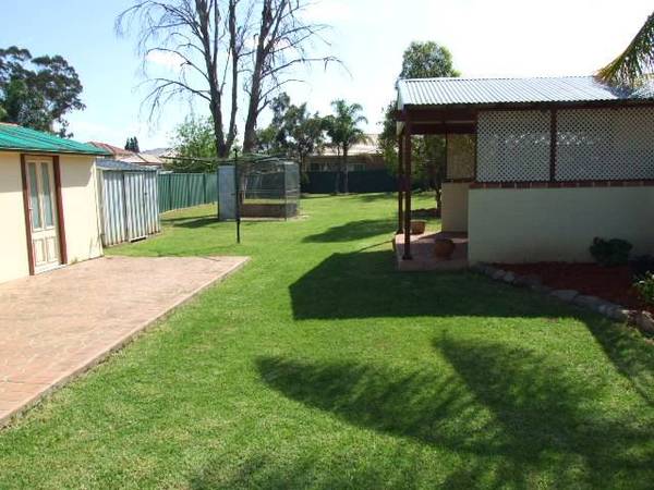 Character Filled 1/4 Acre Picture 2