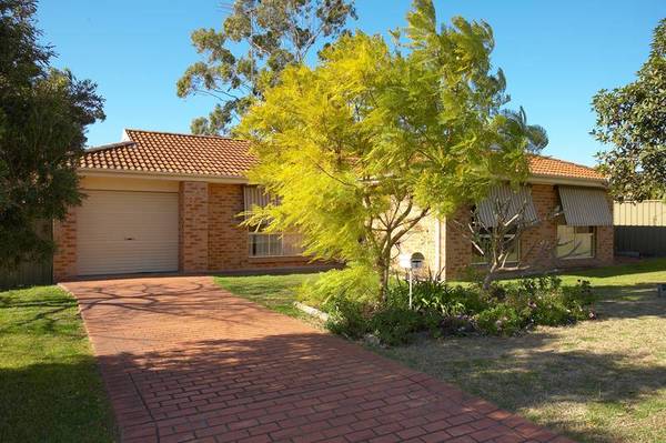 Low Maintenance Picture 1