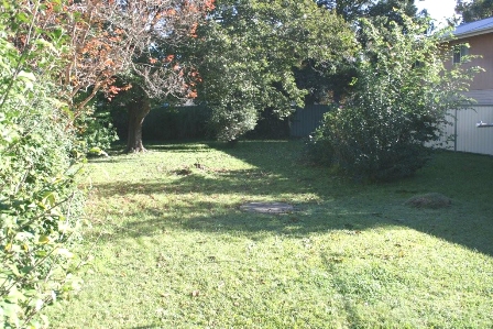 premier street, exclusive enclave! Picture