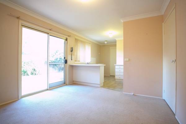 the ideal starter Picture