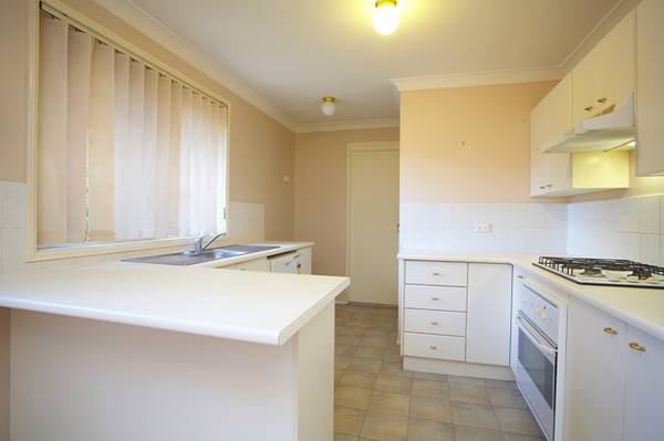 the ideal starter Picture