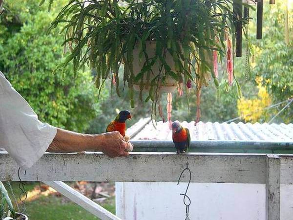 BUSH RETREAT!! Picture 2