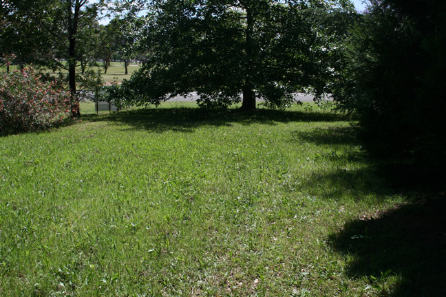 Vacant Land in South Penrith Picture 3