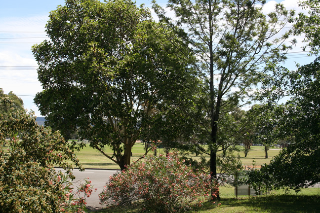 Vacant Land in South Penrith Picture 2