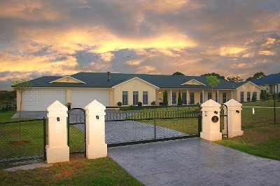 merlot meadows - vines estate Picture