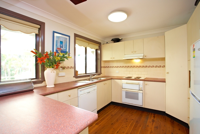 Potential Personified Picture 2