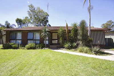 Oasis in Jamisontown Picture Oasis in Jamisontown Picture