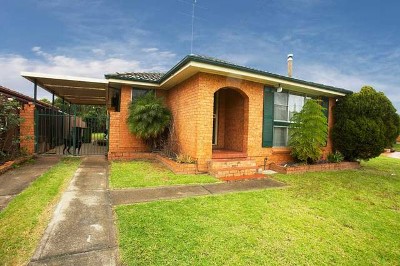 What an Investment Picture