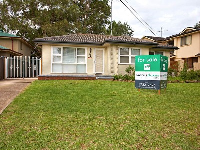 Abundance of Land Picture Abundance of Land Picture