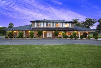 Land of Opportunity Picture