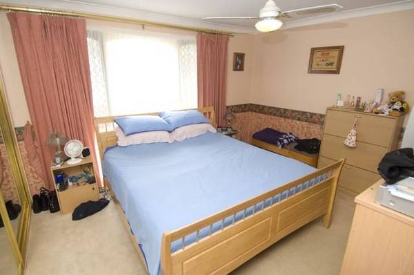 Stop Looking Picture 2