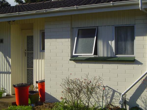 Papatoetoe Picture 2