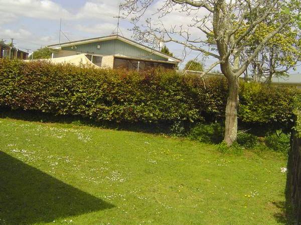 PAPATOETOE Picture 3