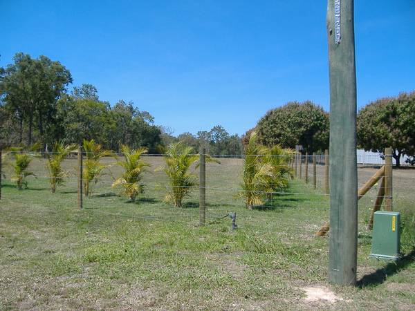 ACREAGE CLOSE TO TOWN Picture 2