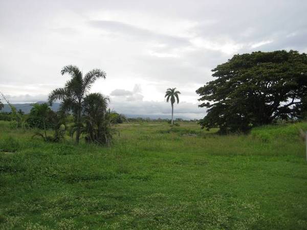 4 BEDROOM HOUSE ON A LARGE BLOCK Picture 3