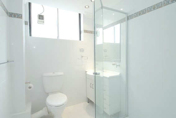 Bright & Airy Apartment Picture 3