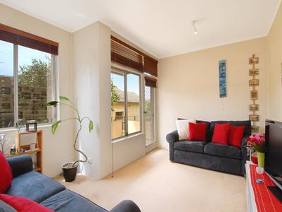 Great One Bedder with LUG Picture Great One Bedder with LUG Picture