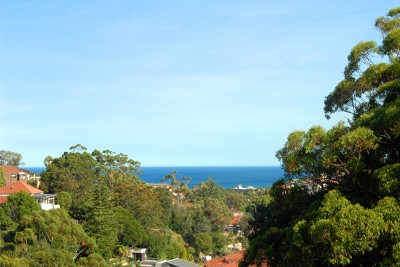 Quiet & Secluded with Ocean Views Picture