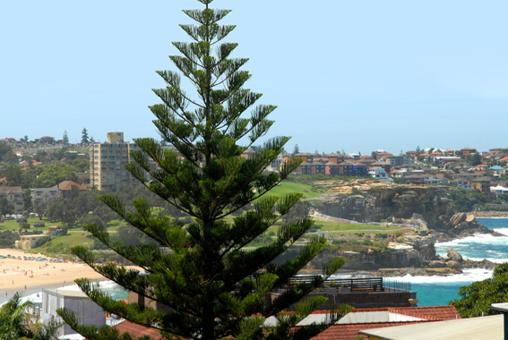 Beachside Living Picture 1