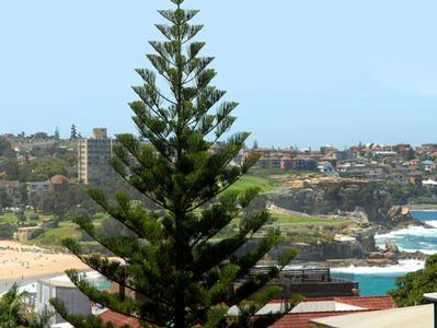 Beachside Living Picture Beachside Living Picture