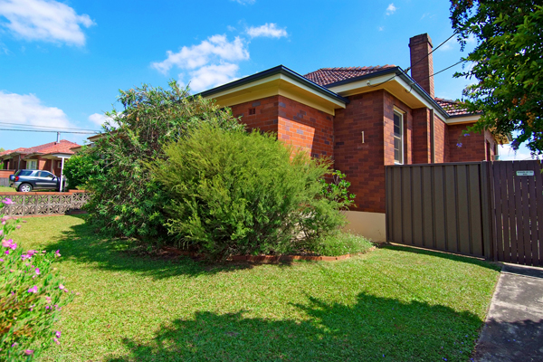 A Rare Find at This Price Picture 1