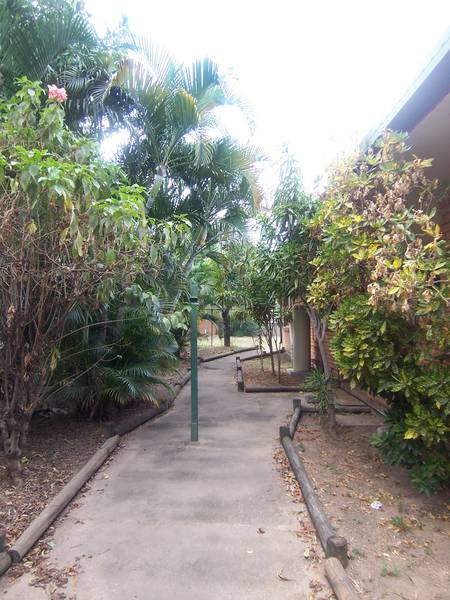 RED BRICK - RIVER Picture RED BRICK - RIVER Picture