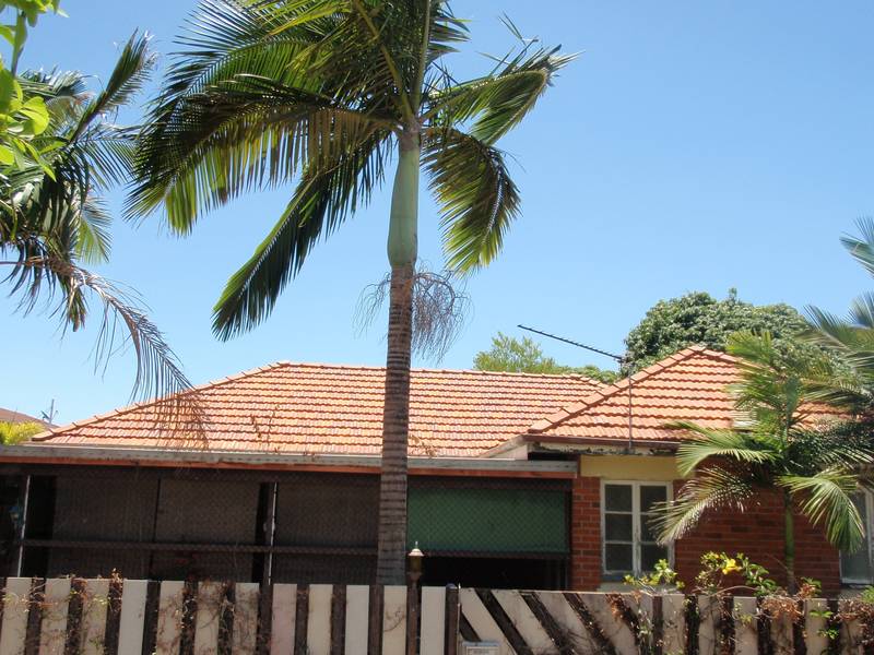 RENOVATE & CASH IN $$$ Picture 1