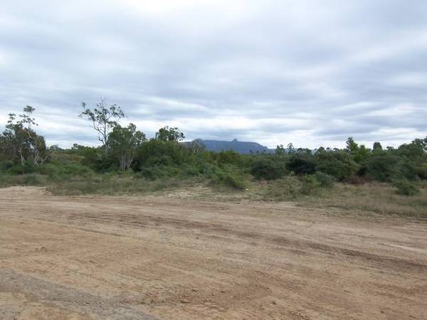 RURAL LIVING IN THE CITY Picture 2