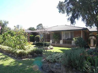 Opportunities, Choices, Potential Plus! Picture