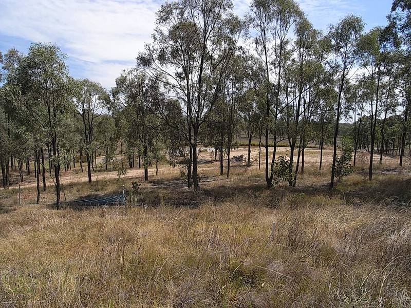 Rural Aspect With Town Conveniences Picture 1