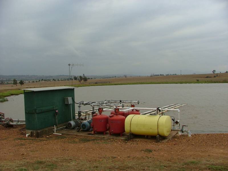 Denman Rouge Vineyard Picture 3
