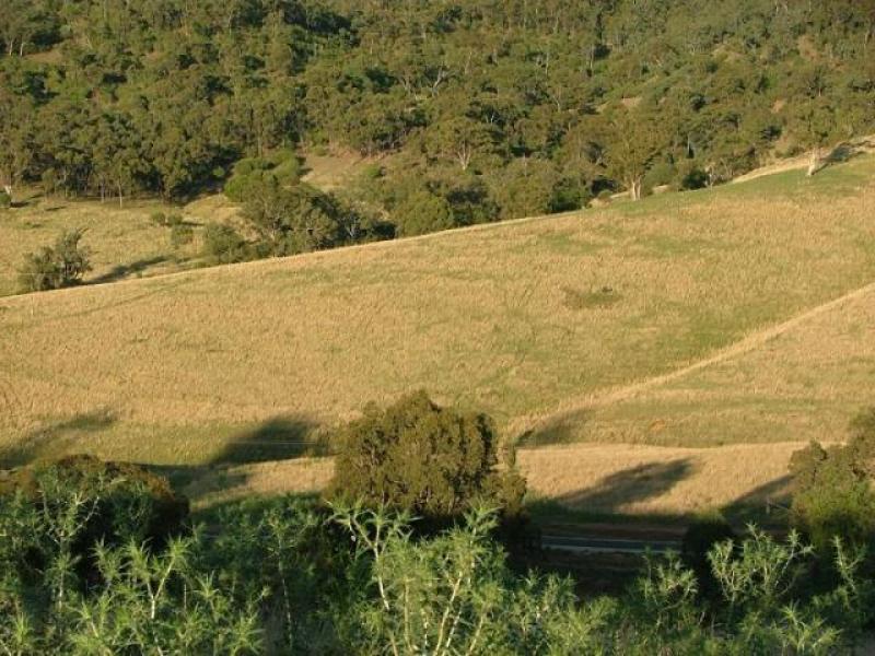 GET TWICE THE VIEWS Picture 2