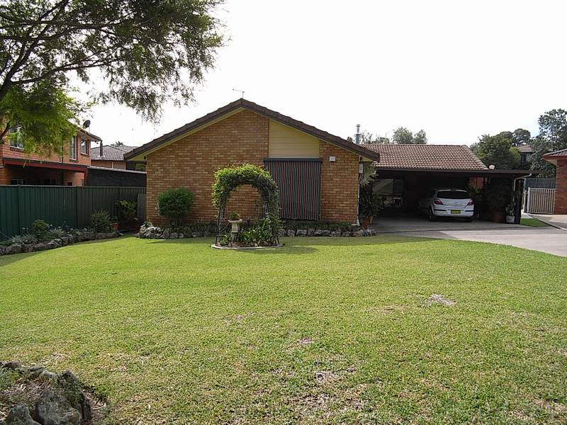 At Home in Wonderland Picture 1