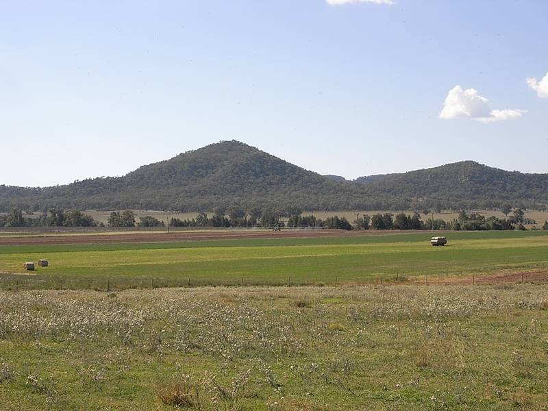 Mare Paddock Picture 2