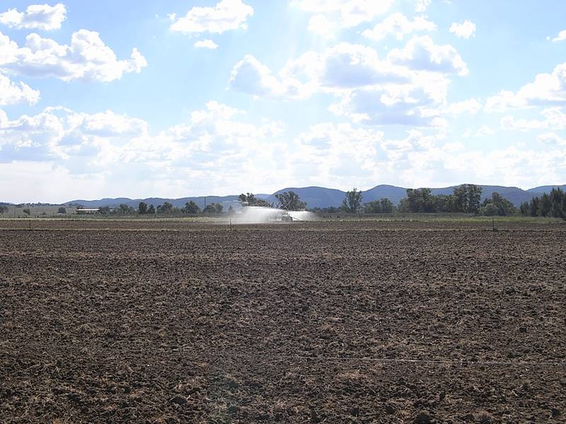 Mare Paddock Picture 3