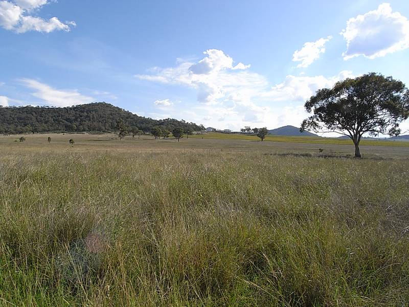 Sentinel South Picture 3