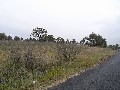 Vacant Light Industrial Land Picture