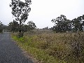 Vacant Light Industrial Land Picture