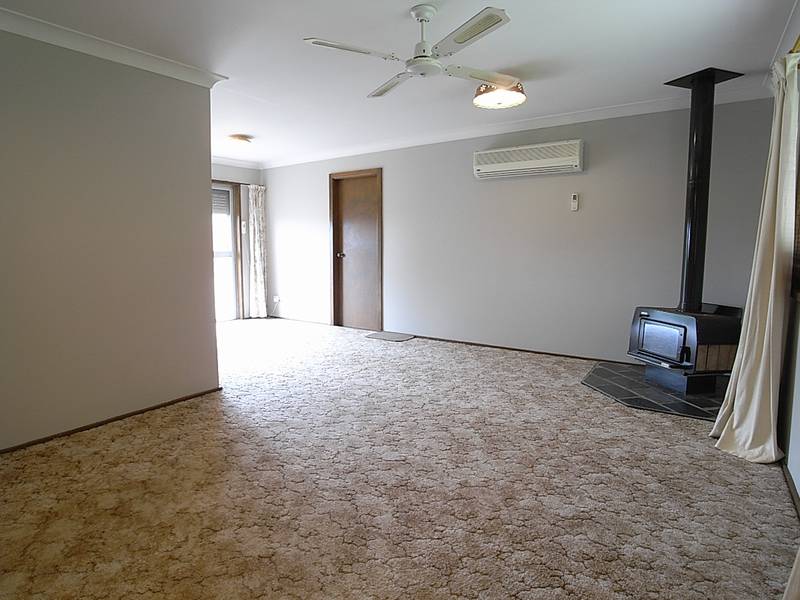 Re-vamp and Re-vive! Picture 2