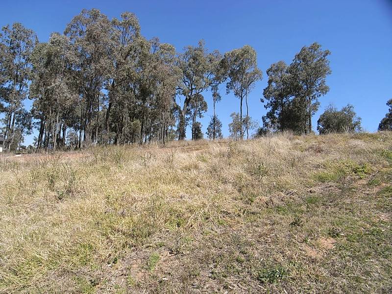 Residential Land with Great Views Picture 3