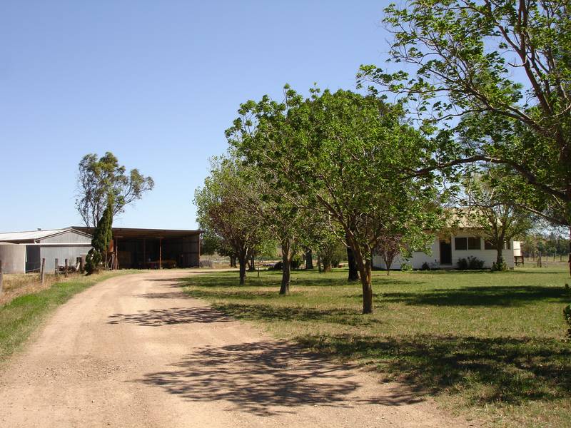 COTTAGE AMONGST THE COWS!! Picture 3