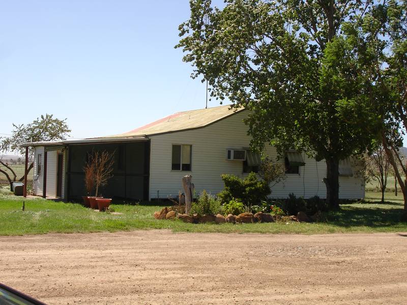COTTAGE AMONGST THE COWS!! Picture 1