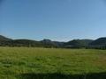 Broke
/ Fordwich Region Picture