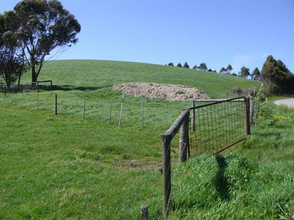 130 Acre Grazing or Lifestyle block
$3150 per acre Picture 3