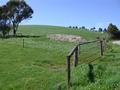 130 Acre Grazing or Lifestyle block
$3150 per acre Picture