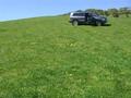 130 Acre Grazing or Lifestyle block
$3150 per acre Picture