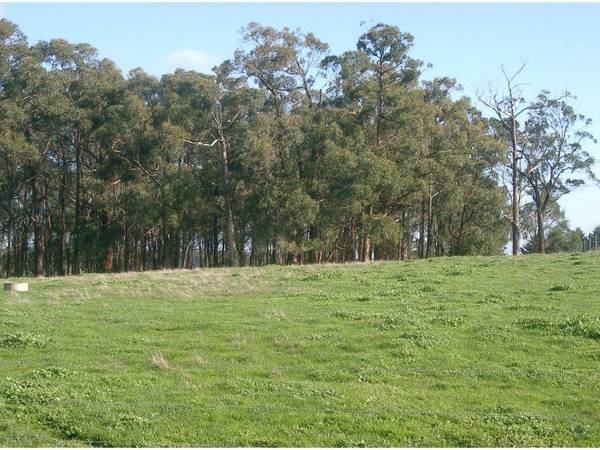 GREAT RURAL PACKAGE Picture 1