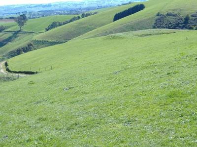 112 ACRES LIFESTYLE Picture